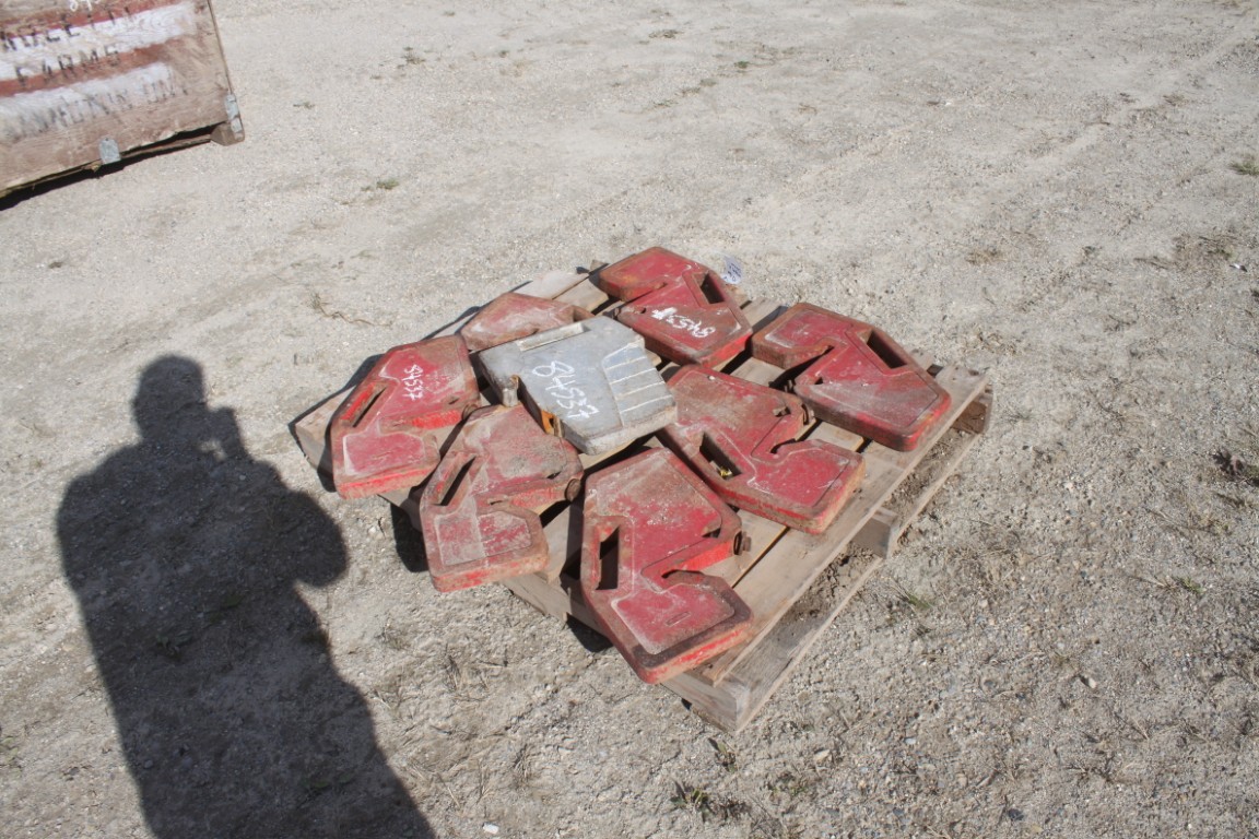 MF 8 misc suitcase weights - Image 3